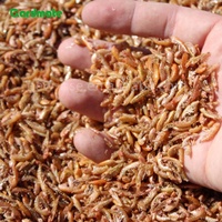 GARDMATE 1KG Gammarus séché pour oiseaux sauvages Poissons Reptiles Tortues Terrapins & Rongeurs-Aliments de qualité supérieure à haute teneur en protéines et en matières grasses