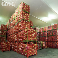 Ciboulette et poireau surgelés IQF de Chine, certifiés Green Food, délicieux, entiers, frais et surgelés, idéaux pour la vente en gros et l'exportation