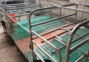 Hot mạ kẽm lợn trang trại thiết bị <span class=keywords><strong>farrowing</strong></span> <span class=keywords><strong>Crate</strong></span> thai sản gian hàng Lợn nái lồng - Product Image 4