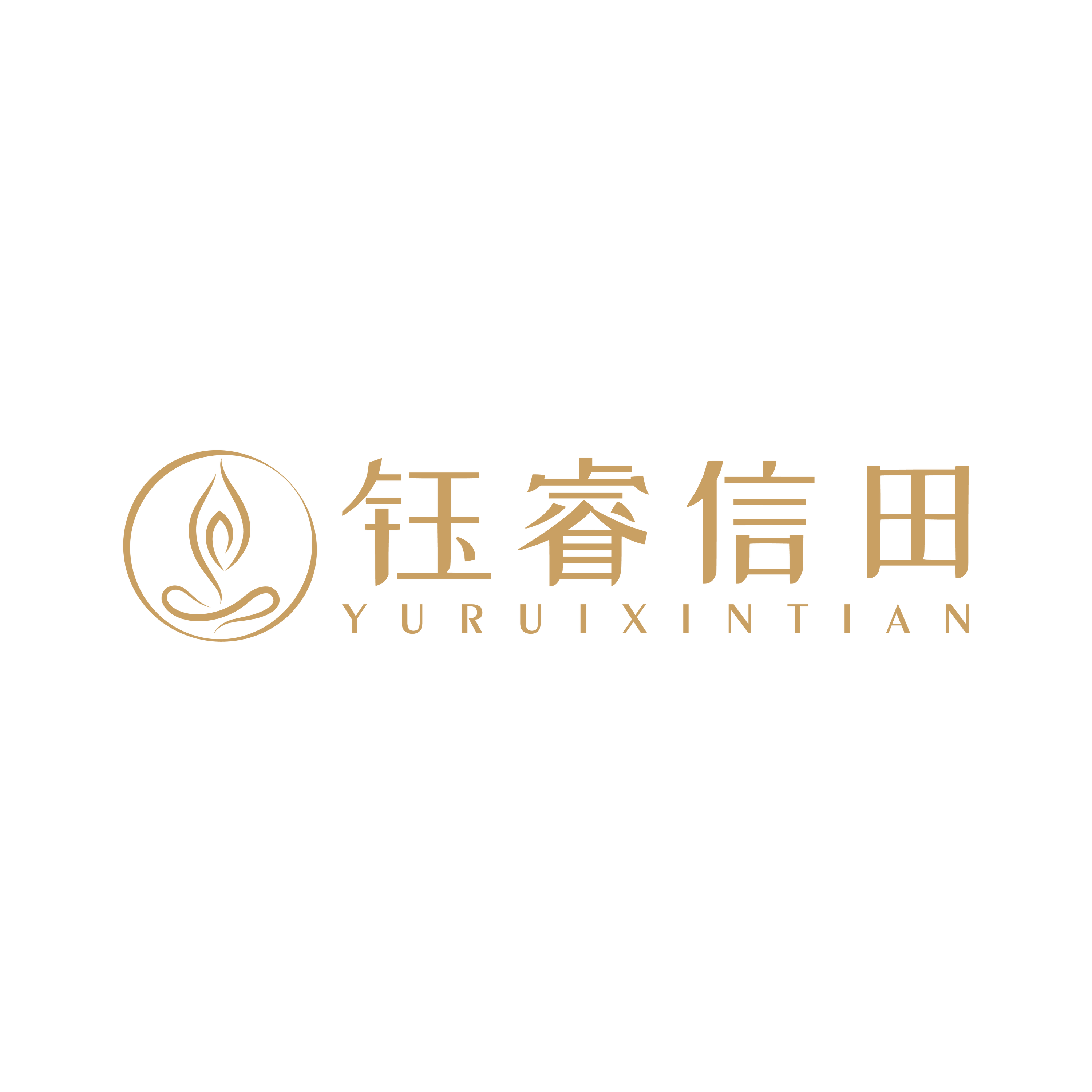 Changsha Yuruixintian Technology Co., Ltd. logo