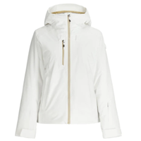 Veste de ski isolée à capuche pour homme, extensible, imperméable, coupe-vent, chaude, pour le ski et les activités hivernales en plein air