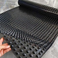 Planche de drainage alvéolée en plastique HDPE géocomposite, feuille de drainage alvéolée, membrane de fondation alvéolée
