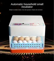 Mini couveuse automatique MY-B135F unités, incubateur pour œufs canard et chèvre