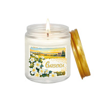 Bougies parfumées d'été Coffret cadeau Bougies en cire de soja avec pastèque Citron Menthe Vanille Coco Océan Bougies d'aromathérapie