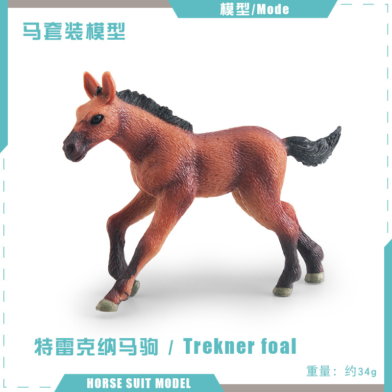 T15821 trekna PONY 34g