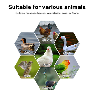 Nueva Incubadora Inteligente Totalmente Automática para 320 Huevos con Control Digital y Volteo Automático para Incubación de Pollos, Patos, Codornices, Avestruces y Aves - Product Image 4