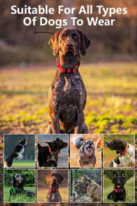 Collier intelligent pour chien avec système GPS : Navigation par boussole électronique + Géorepérage configurable (7+ <span class=keywords><strong>zones</strong></span>) & Batterie 6400 mAh - Product Image 3