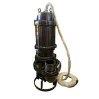 Pompe à eaux usées submersible de levage d'eaux d'égout de boue de pompage fécal industriel durable Wq 380v 220v