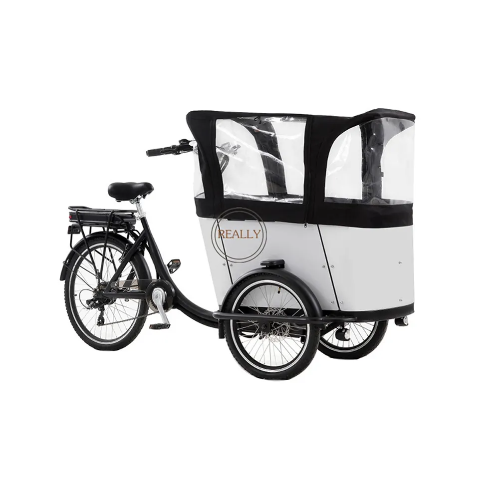 OEM 3 колеса электрический мотоцикл для доставки грузов, домашнего использования электрических трехколесных велосипедов, способный преодолевать Броды для взрослых пассажирскому транспорту