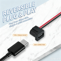Connecteur d'alimentation USB-C femelle 2 broches LN-005 avec faisceau de câblage pour l'alimentation des petits équipements électroniques
