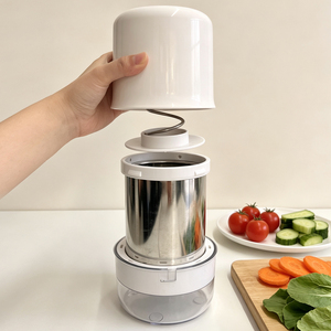Essoreuse à salade domestique facile à nettoyer, filtre d'égouttage d'eau pour légumes, gadget de cuisine pratique pour fruits, légumes et aliments quotidiens - Product Image 1