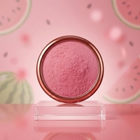 Poudre de jus de pastèque Newgreen Supply au meilleur prix