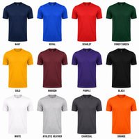 Lot de T-shirts CVC 240 g/m² épais - Anti-plis, vierges pour uniformes scolaires et sportifs