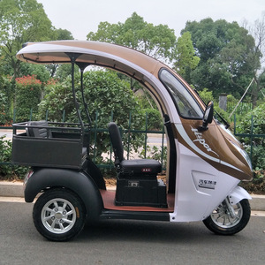 Triciclo Eléctrico de 48 V, 2 Plazas, Carrocería Abierta, Baja Velocidad, Vehículo Eléctrico para Adultos - Product Image 3
