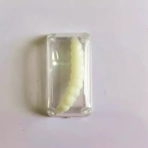 En stock: Juguetes de simulación de insectos de hielo enteros, moscas de cubitos de hielo, bichos blancos de cristal para broma, juguetes creativos transfronterizos - Product Image 3