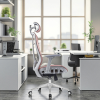 Chaise de bureau ergonomique moderne en maille Design Factory Furniture avec soutien lombaire réglable et réglage de la hauteur du siège