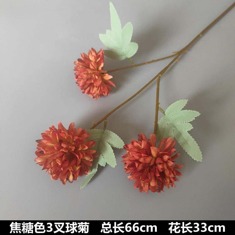 Caramel 3 tête boule chrysanthème