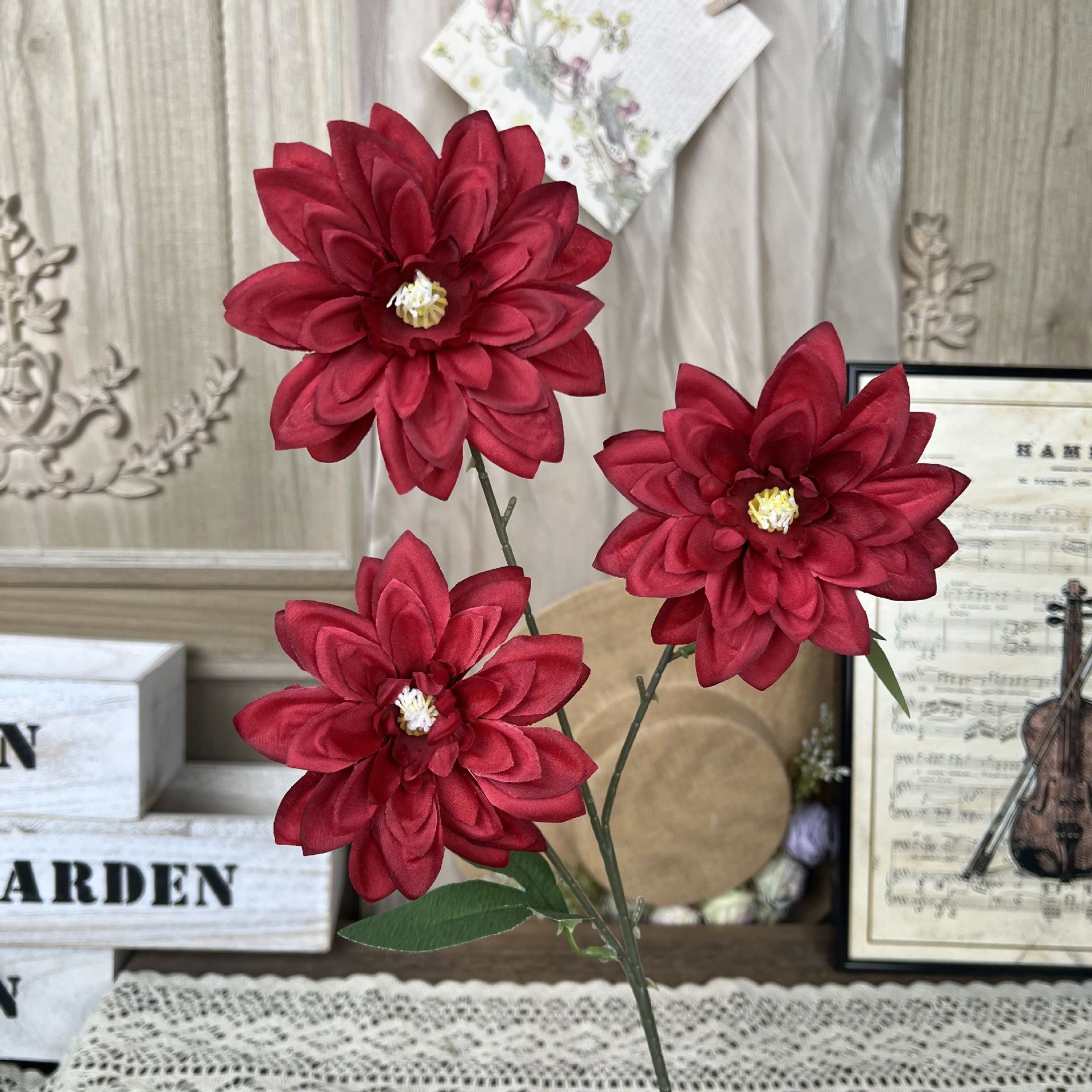 Y-Petit Dalmatien-Rouge