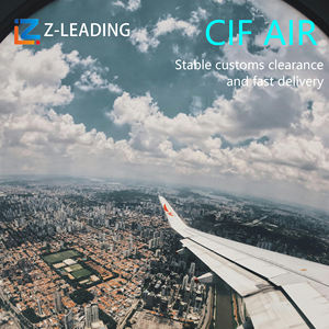 อัตราการเติมเต็มค่าบริการภาษีศุลกากรการจ่ายค่าจัดส่งการคำน<span class=keywords><strong>วณ</strong></span>ต้<span class=keywords><strong>น</strong></span>ทุ<span class=keywords><strong>น</strong></span>การส่งออก ICS CIF Air Freight sedi Singapore - Product Image 3