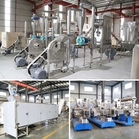 Poudre de céréales de riz pour bébé Petit-déjeuner Extrudeuse de farine de riz extrudée Machine de ligne de production