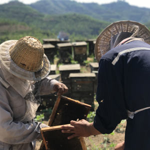 <span class=keywords><strong>Miel</strong></span> de Beri cru, <span class=keywords><strong>miel</strong></span> Royal de yênium - Product Image 6