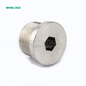 Free Sample Explosion Proof Brass Nickel Plated Cable Gland Stop Plug