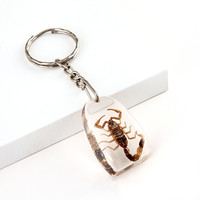 Porte-clés en ambre avec spécimen d'insecte véritable, scorpion, araignée cornée, scarabée, en résine, cadeau souvenir