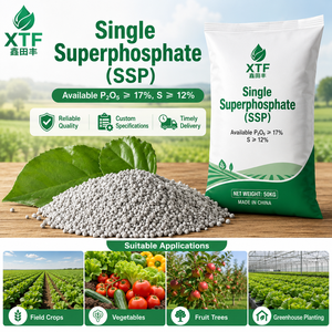 Superphosphate simple granulé gris SSP <span class=keywords><strong>Ca</strong></span>(<span class=keywords><strong>H2PO4</strong></span>)<span class=keywords><strong>2H2O</strong></span> CAS 10031-30-8 disponible, P2O5≥18%, engrais de base pour céréales et arbres fruitiers - Product Image 2