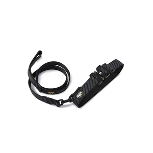 Gran oferta, fabricante personalizado, cinturón negro de nailon para mascotas, cinturones para perros, moda para mascotas, reciclar hebillas de cinturón personalizadas - Product Image 3