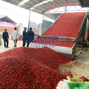 Spot Supply Complete Dried Chili Production Line Mesh Belt Chili Dryer Chili Dehumidifier Processing Machine - Product Image 1