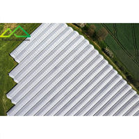 Grote enkellaagse plastic folie multispan kas met geautomatiseerde systemen voor commerciële groente- en bessenteelt