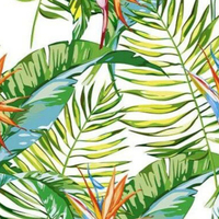 Papier peint imperméable moderne à feuilles vertes, motif jungle tropicale, feuille de bananier, oiseaux du paradis, pour hôtel