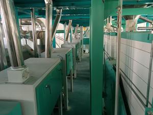 Ligne de production complète de farine de maïs et de blé populaire en Afrique, machine de mouture de maïs, usine de moulin à farine - Product Image 3