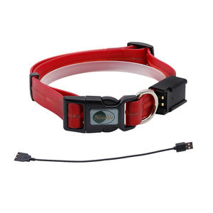 <span class=keywords><strong>Collar</strong></span> de Perro Ajustable con Luz <span class=keywords><strong>LED</strong></span>, Recargable por USB, con Hebilla de Cierre, Resistente al Agua, con Recubrimiento de PVC Luminoso <span class=keywords><strong>LED</strong></span>, Explosiones de Color, <span class=keywords><strong>2026</strong></span> - Product Image 3