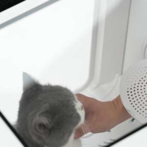 Scatola asciugatrice di grande capacità 66L <span class=keywords><strong>per</strong></span> <span class=keywords><strong>gatti</strong></span> e cani di piccola taglia ecologica di lusso Design rapido asciutto universale <span class=keywords><strong>per</strong></span> negozi di animali - Product Image 3