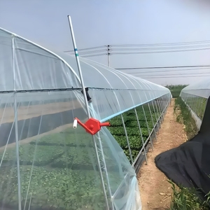 Serre <span class=keywords><strong>agricole</strong></span> à simple portée en film plastique transparent de grande taille et économique, avec structure en tube d'acier circulaire et abri de sol - Product Image 4