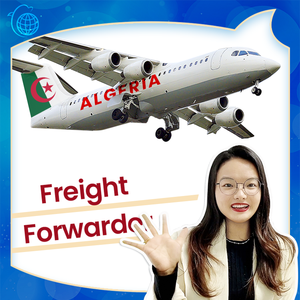 Высокопрофессиональный, стабильная доставка, безопасный, DDP, глобальный Экспресс-контейнер <span class=keywords><strong>DHL</strong></span>, экспедирование из Китая в Алгерию - Product Image 6