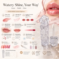 Teinte à lèvres hydratante effet repulpant et brillant, personnalisable OEM/ODM