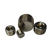 Bouchon de tuyau à douille hexagonale DIN906, bouchon fileté BSP/NPT, bouchon de tuyau à filetage mâle pour système hydraulique/pneumatique