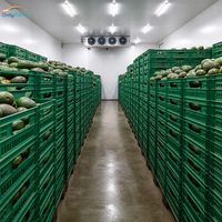 Chambre Froide de Stockage à Basse Température 30000 m³ avec Panneaux PU 150 mm pour Usine de Transformation de Viandes et Fruits de Mer Congelés 380V