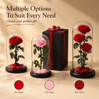 Articles décoratifs pour bureau à domicile, cadeaux de festival, faites-vous plaisir, couleur personnalisée, fleurs éternelles, roses roses, bleues, rouges.