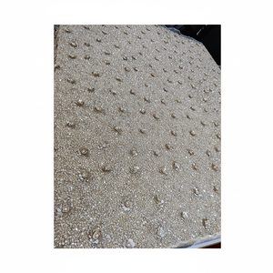 Tissu en organza de luxe fait main avec broderie perlée et dentelle en strass le plus recherché pour les robes de soirée Party Wear - Product Image 1