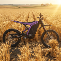 Moto électrique tout-terrain 79 Bike LYNX 12000 Watt avec moteur à engrenages, 72V, Dirt Bike, Ebike, Moto électrique