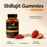 Grosir MOQ Rendah ODM Permen Shilajit Dewasa Non-GMO Bebas Gula Permen Kunyah Alami Formula Khusus