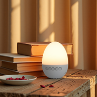 Boîte à musique de bureau avec lumière respirante, œuf, 30 sons apaisants, machine à bruit blanc portable, aide au sommeil rechargeable, lecteur audio
