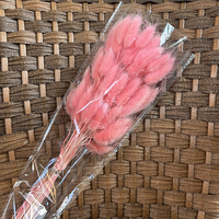 Bouquet de fleurs naturelles préservées en gros : Herbe de lapin et Herbe de la pampa pour la Saint-Valentin et la décoration d'Halloween