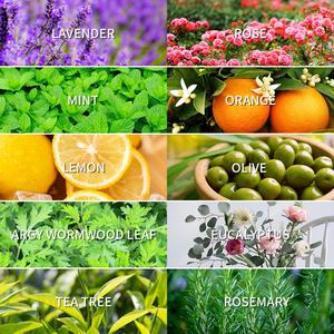 Aceite Esencial Aromático Puro de Grado Terapéutico Soluble en Agua de 10 ml, en Oferta - Product Image 3