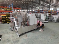 Machine d'emballage horizontale automatique pour le comptage et l'emballage des bâtonnets de bambou pour ongles