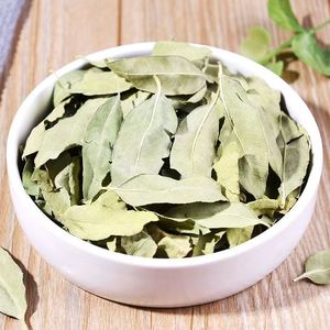 Foglie di Apocynum Venetum Essiccate Senza Zolfo OEM, Materia Prima Erboristica per Tè Benessere e Estratti Vegetali - Product Image 2