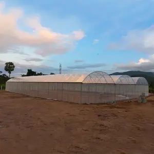 Terowongan pertanian biaya rendah rumah terowongan buah tumbuh meja sistem hidroponik Film plastik semangka rumah kaca